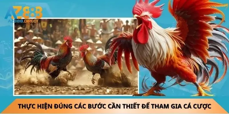 thuc-hien-dung-cac-buoc-can-thiet-de-tham-gia-ca-cuoc