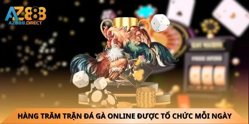 Hàng trăm trận đá gà online được tổ chức mỗi ngày